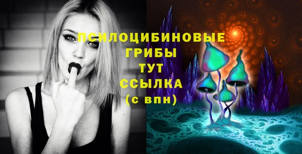 бошки Новодвинск