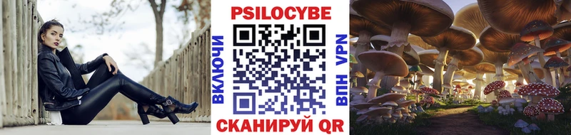 цена наркотик  Лысково  hydra сайт  Псилоцибиновые грибы Psilocybe 