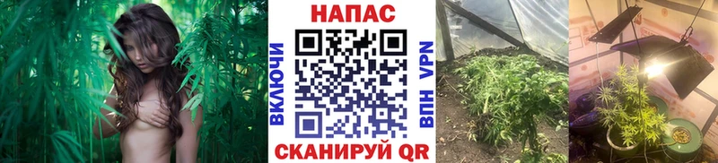 Марихуана AK-47  купить наркотики сайты  Лысково 